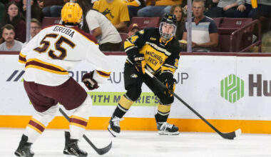 Huskies hockey excited for home debut against Ferris State | News, Sports, Jobs