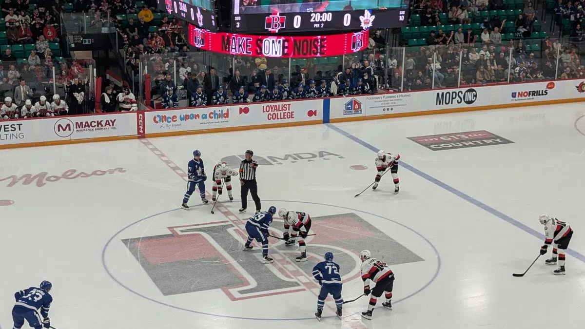 Marlies edge Senators | Quinte News