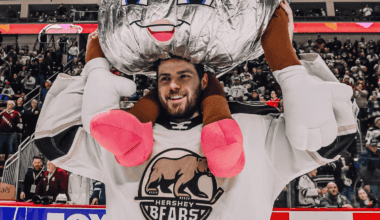 On LinkedIn, a minor-league hockey journeyman breaks his own free-agent signings