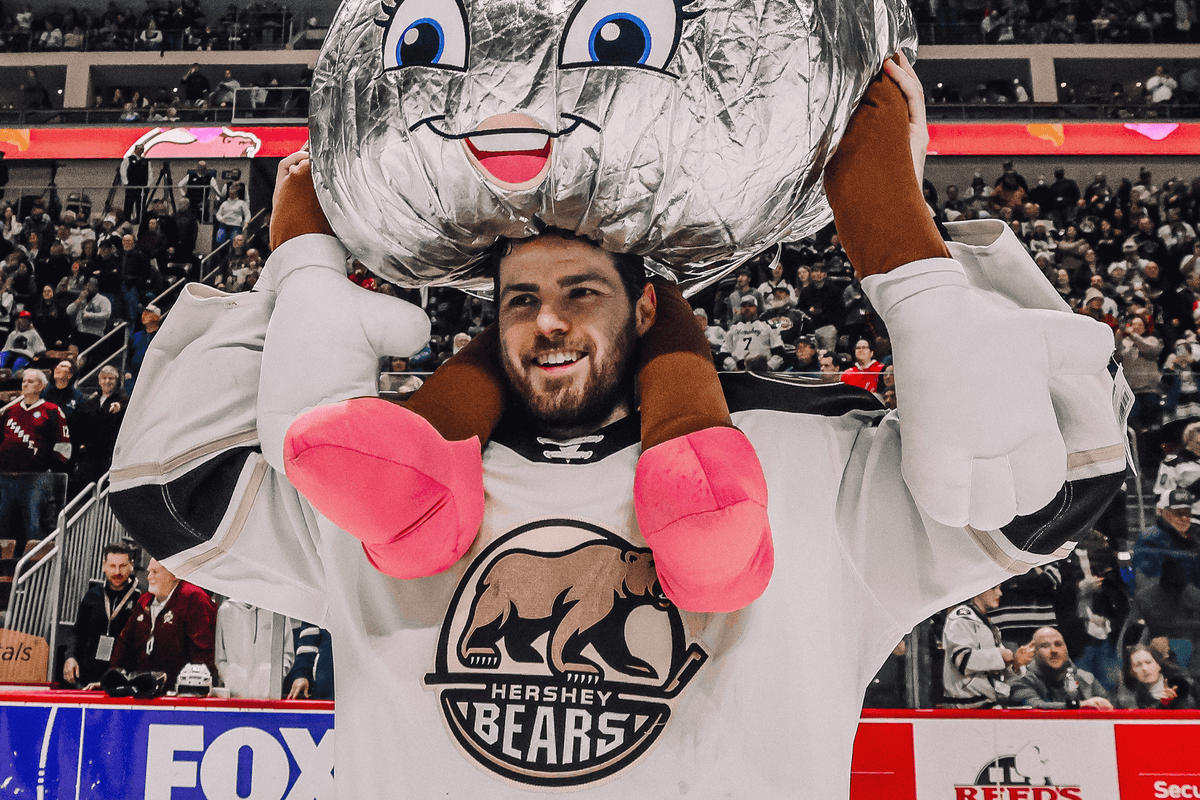 On LinkedIn, a minor-league hockey journeyman breaks his own free-agent signings