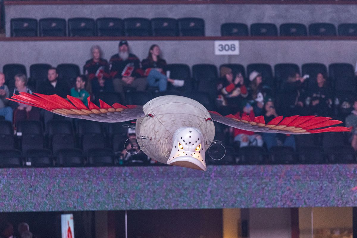An Anaheim Duck flies out during an NHL Carolina Hurricanes against the Anaheim Ducks on October 16, 2025 in Anaheim, CA.