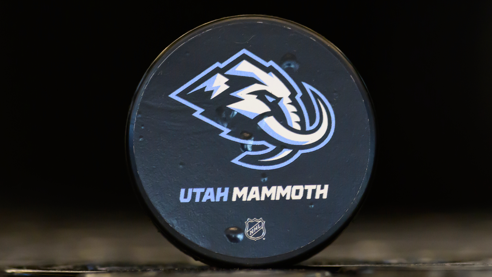 Utah Mammoth logo on puck