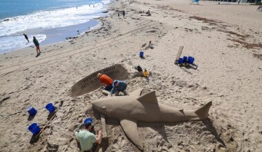 S.J. Sharkie sand sculpture created at Cowell Beach in Santa Cruz – Santa Cruz Sentinel