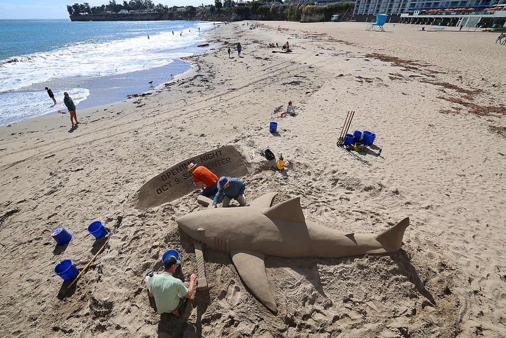 S.J. Sharkie sand sculpture created at Cowell Beach in Santa Cruz – Santa Cruz Sentinel