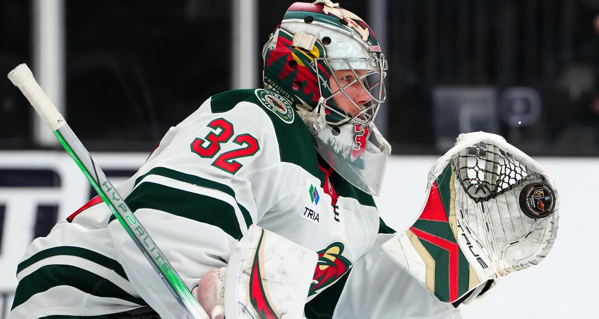 MN Wild Parks Gus Bus Long Term