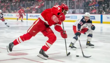 Official signing alert of a heavyweight enforcer familiar to Red Wings fans