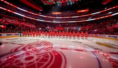 The Red Wings worse subtraction this summer and best addition has been revealed