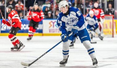 Tampa Bay Lightning Reassign Defenseman Dyllan Gill to Orlando Solar Bears