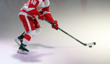 3 Potential Trade Destinations For Red Wings' Berggren