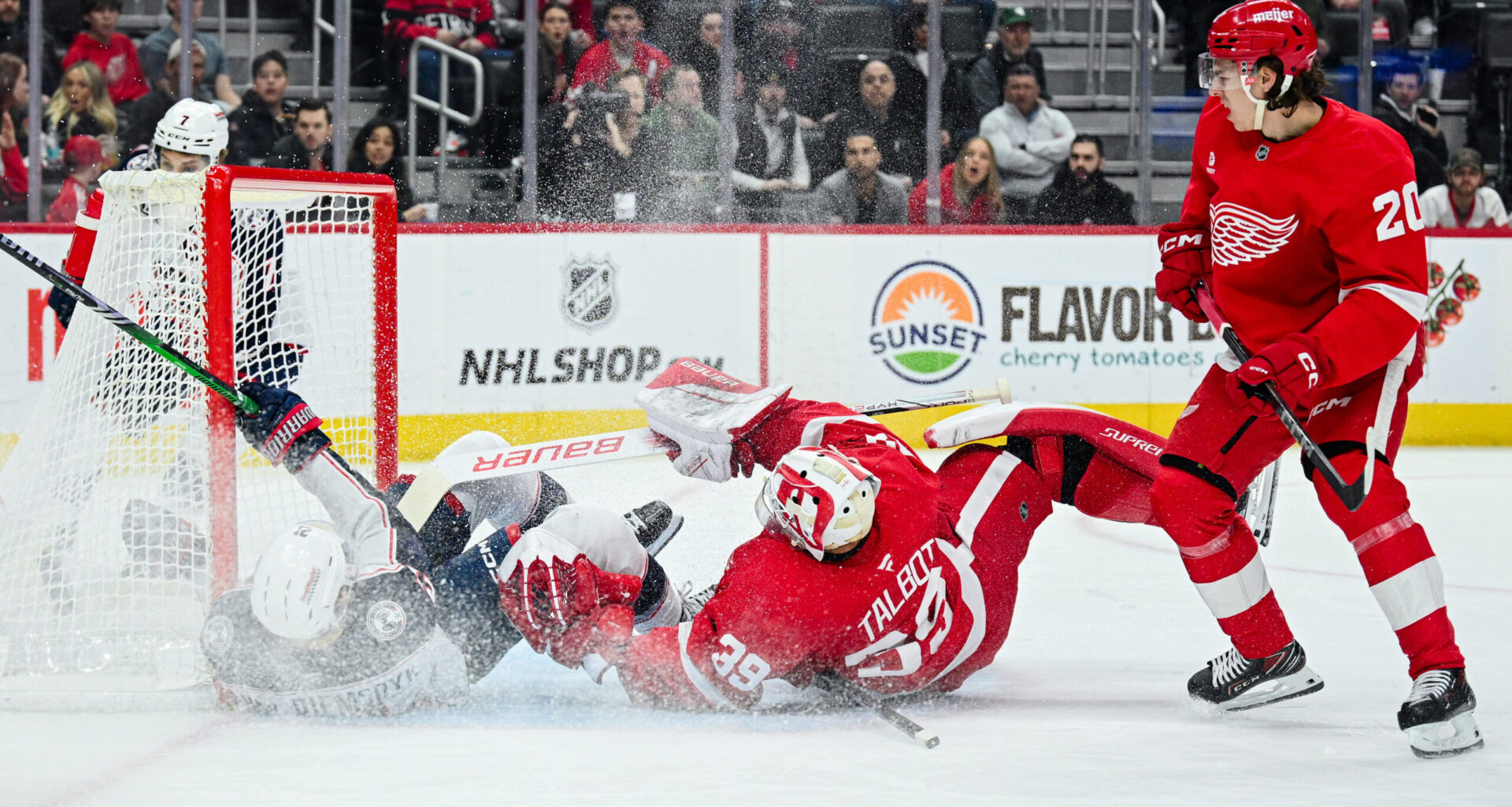 Red Wings Activate James van Riemsdyk