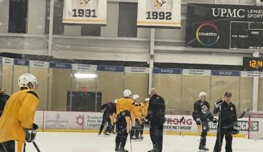 Dealing With a Loss a New Chapter in Penguins' Process Under Muse