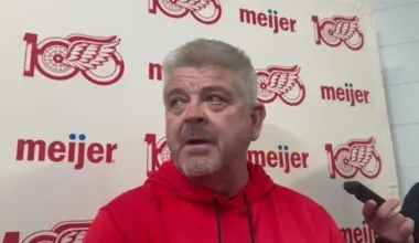 Todd McLellan makes it known who the Red Wings' starting goaltender is