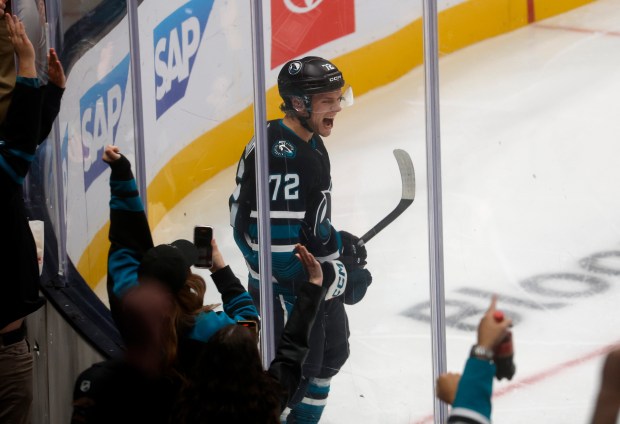 San Jose Sharks' William Eklund (72) celebrates his goal against...