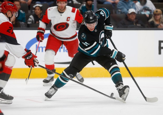 San Jose Sharks' Adam Gaudette (81) fights for the puck...