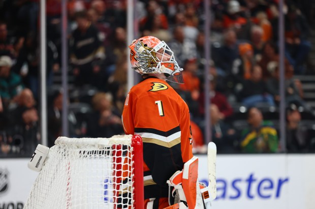 Ducks goaltender Lukas Dostal looks up at the scoreboard after...