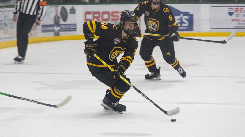 Tigers Complete Sweep Over Northern Michigan