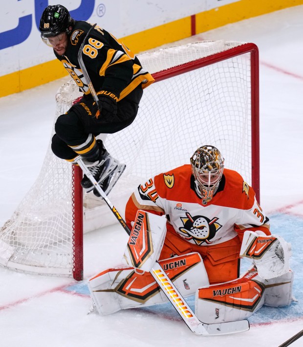 Boston Bruins right wing David Pastrnak (88) leaps over Ducks...