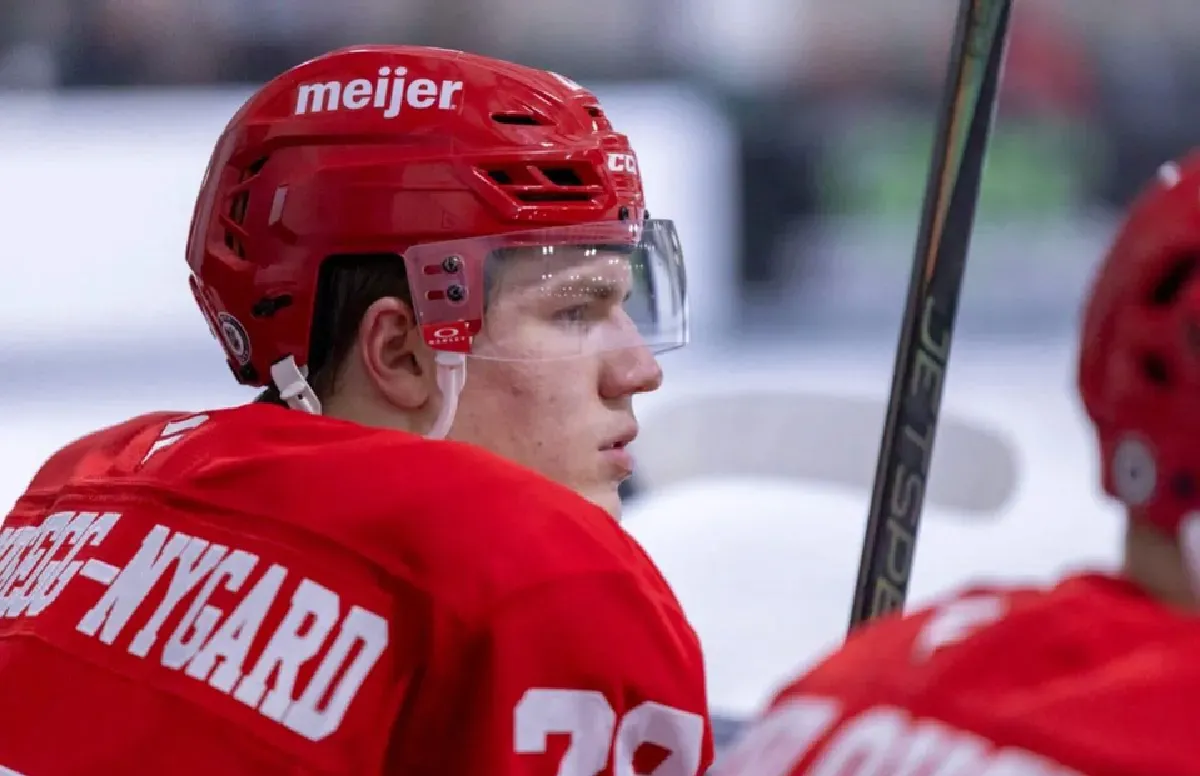 Red Wings officially send 20-year-old forward to the AHL's Grand Rapids Griffins