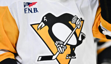 Fan at Penguins-Blues game in Pittsburgh hospitalized in critical condition after falling from upper concourse