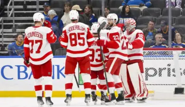 Revelation of former history confirms Red Wings' fate in the playoffs this season