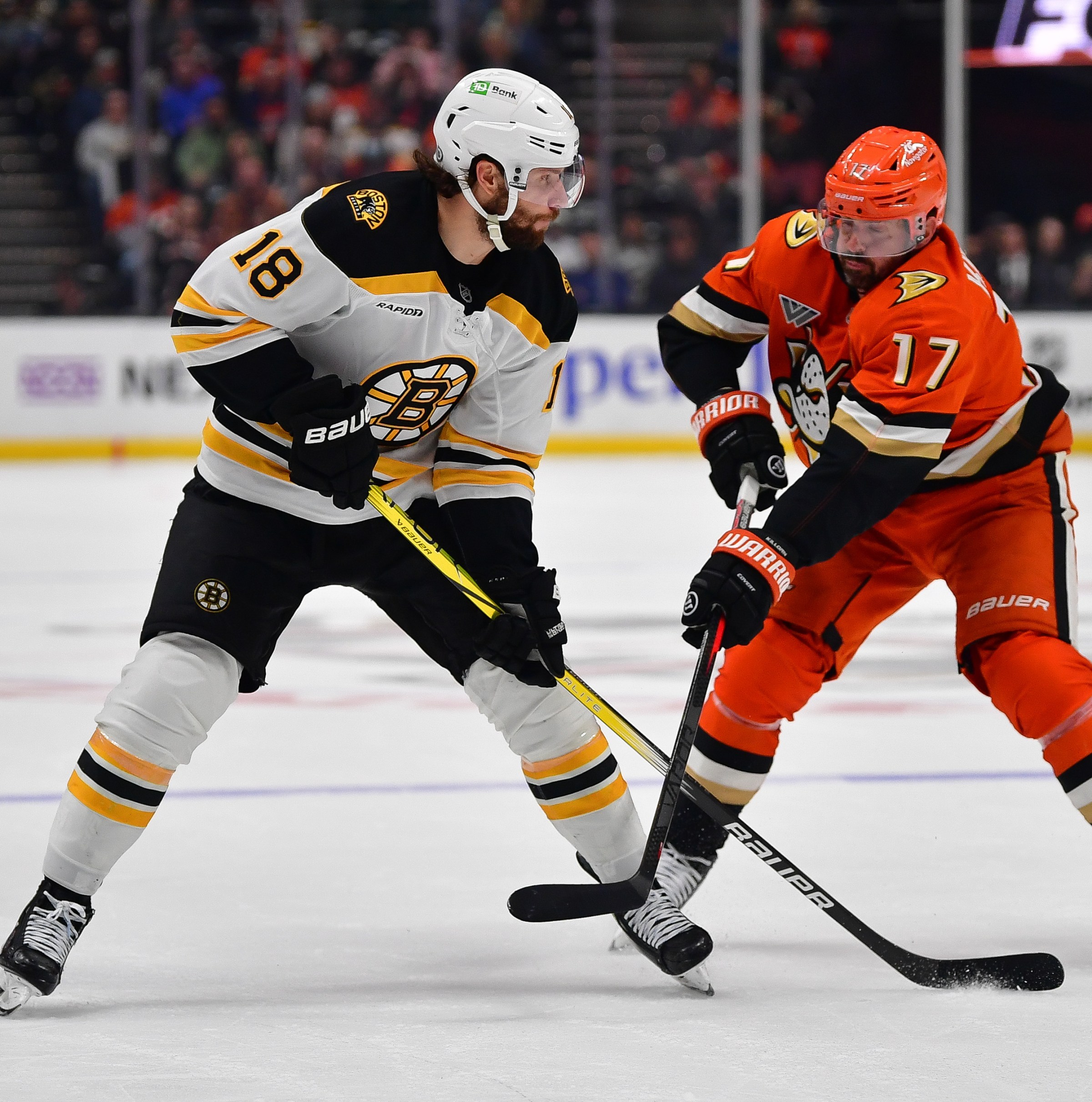 Preview: Bruins look to snap 5-game losing streak against Ducks