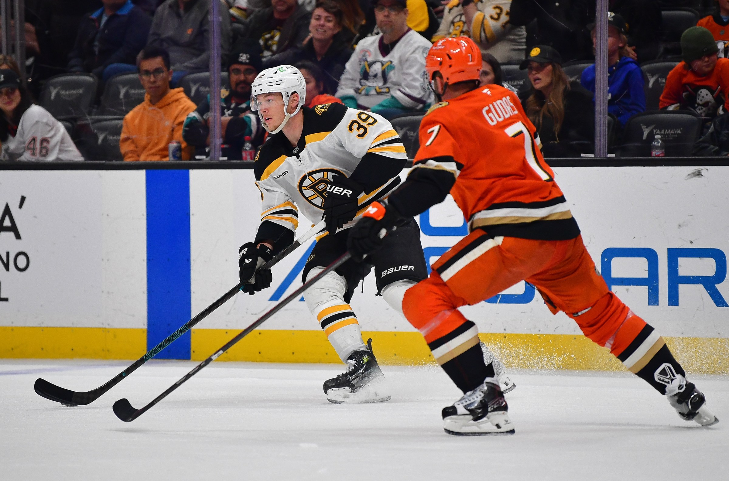 Public Skate: Bruins vs. Ducks