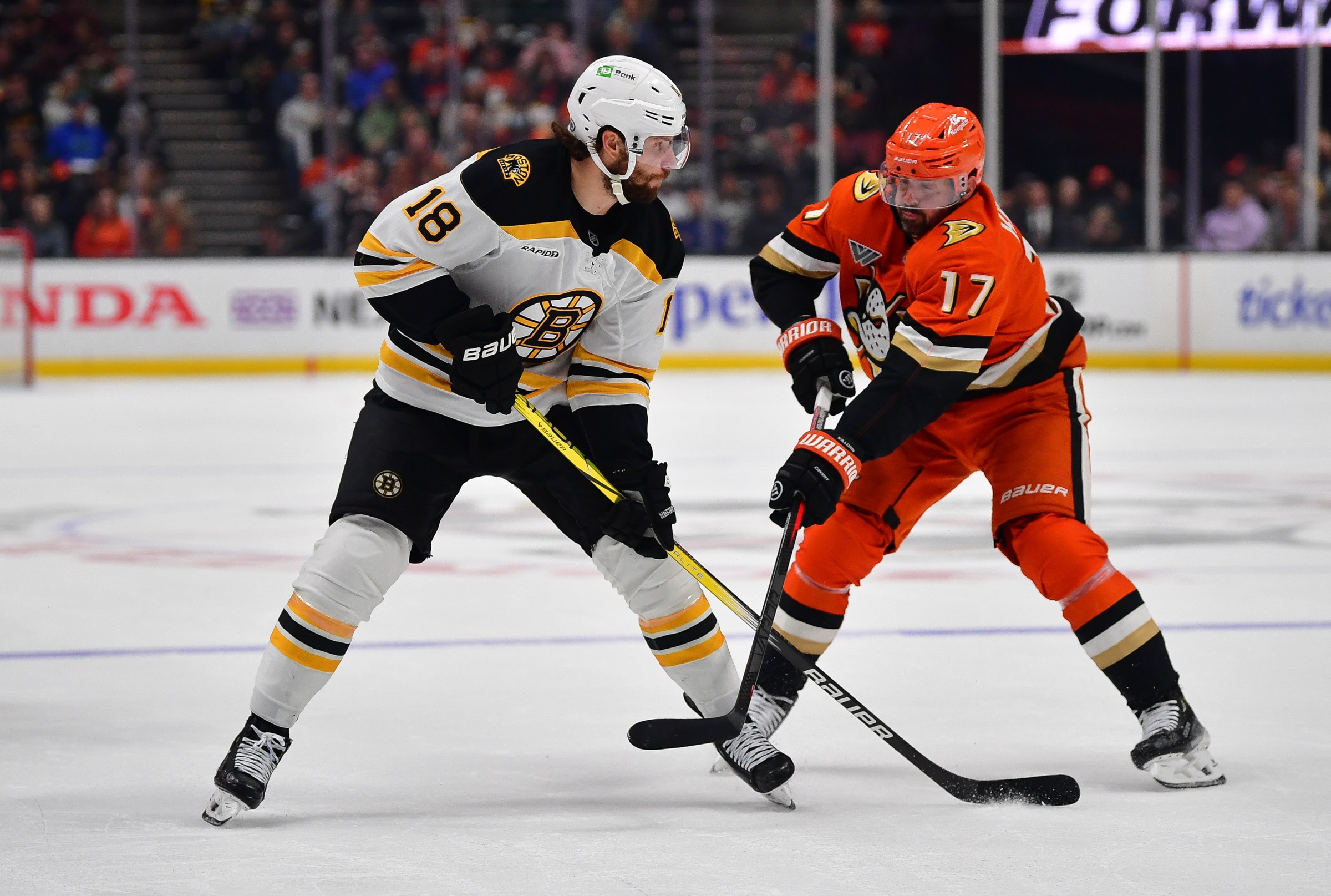 Preview: Bruins look to snap 5-game losing streak against Ducks