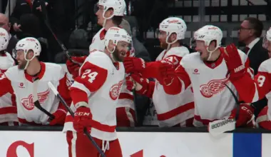 Red Wings recall enforcer from the AHL's Grand Rapids Griffins ahead of facing the Kings Thursday