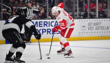 Red Wings, facing Ducks, shoot for Southern California sweep