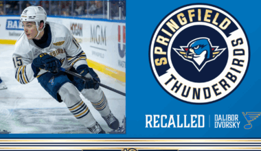 Springfield Thunderbirds | Blues Recall F Dalibor Dvorsky from T-Birds