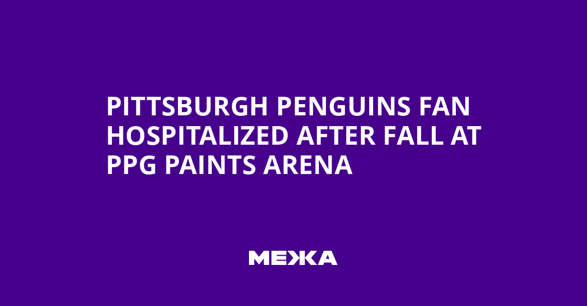 Pittsburgh Penguins Fan Hospitalized After Fall at PPG Paints Arena | Ukraine news