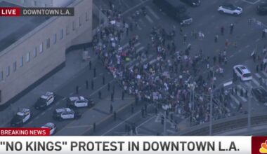 ‘No Kings’ march crowd gathers in front of detention center in DTLA – NBC Los Angeles