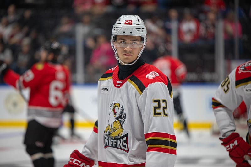 William Wallinder, Red Wings