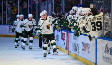 ECHL's Utah Grizzlies franchise relocating to New Jersey