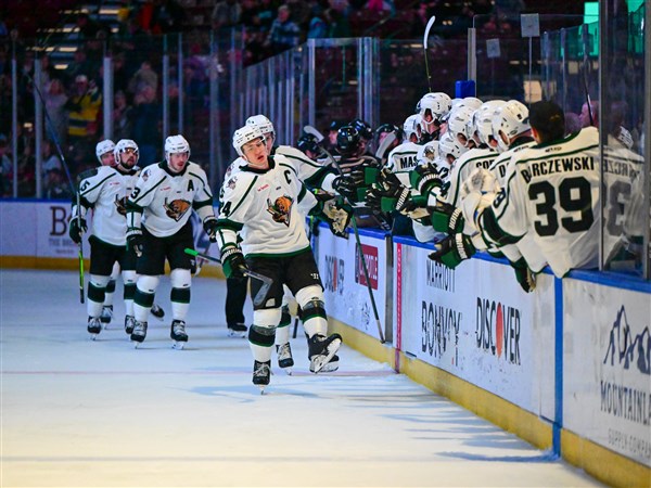 ECHL's Utah Grizzlies franchise relocating to New Jersey