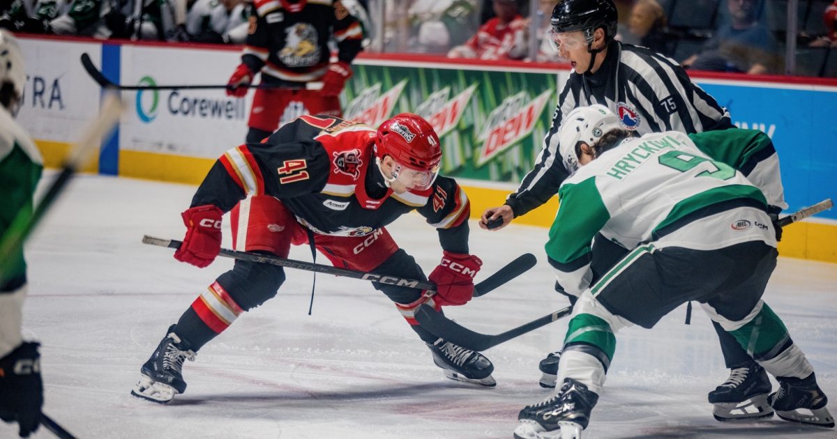 Grand Rapids Griffins | Let's Get The Party Started