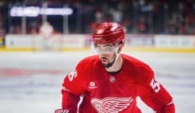 Grand Rapids Griffins | Red Wings Assign Erik Gustafsson to Griffins