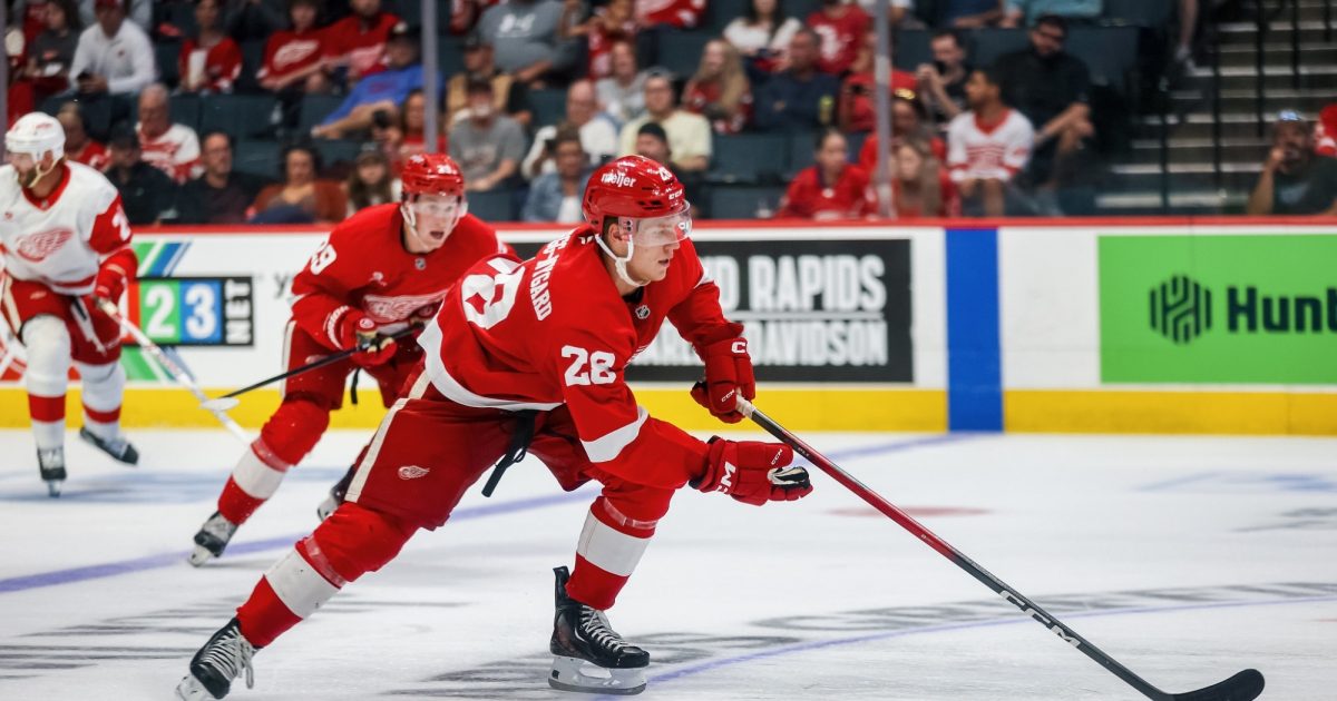 Grand Rapids Griffins | Michael Brandsegg-Nygard Assigned to Griffins