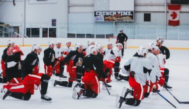 Grand Rapids Griffins | Your Griffins for Year 30