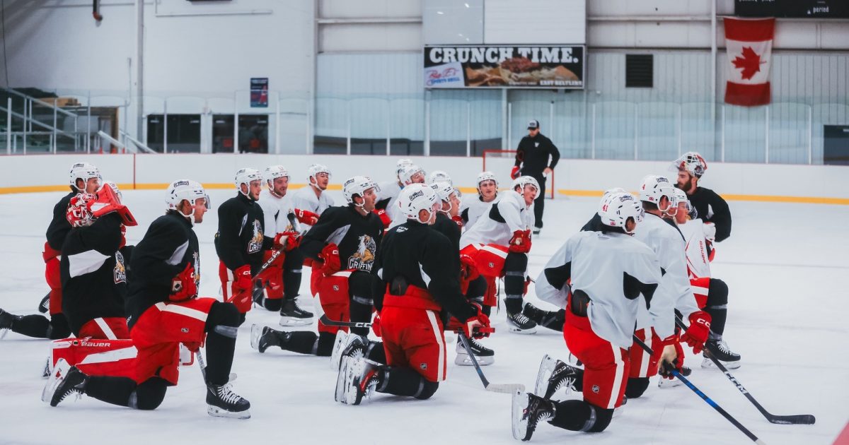 Grand Rapids Griffins | Your Griffins for Year 30