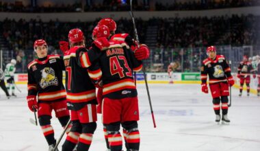 Grand Rapids Griffins | a-MAZ-ing Start