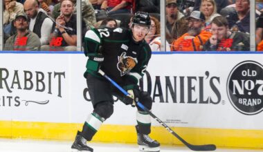 Who will fill the void of the Utah Grizzlies?