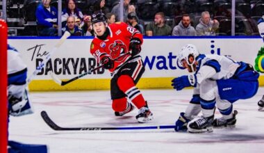 Rockford IceHogs | Game Preview: IceHogs Look To Split Weekend in…