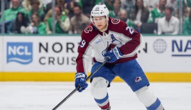 Fantasy Hockey Draft: Top 250 NHL Players (Skaters and Goalies) Printable Cheat Sheet