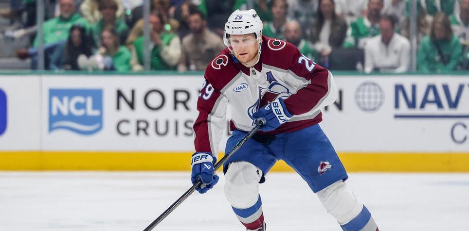 Fantasy Hockey Draft: Top 250 NHL Players (Skaters and Goalies) Printable Cheat Sheet