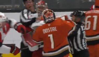 Goalies get involved in full line fight during Canes-Ducks game!