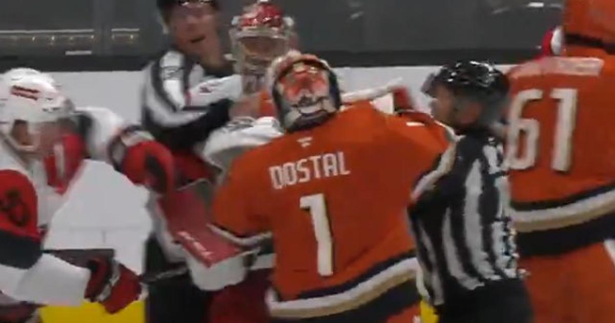 Goalies get involved in full line fight during Canes-Ducks game!