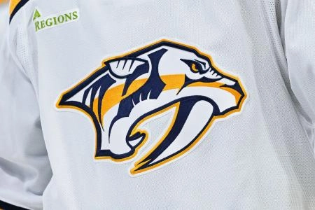 The Nashville Predators.
