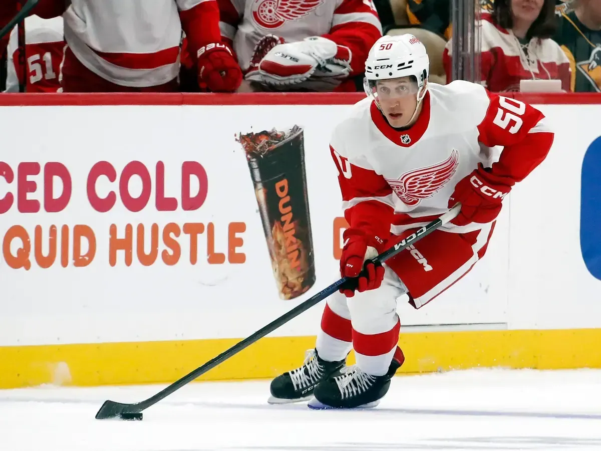 Longtime Detroit Red Wings veteran wins Bruce Boudreau award