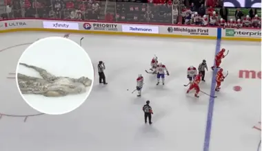 Red Wings Fans Allegedly Ejected for Throwing Objects on the Ice vs. Canadiens